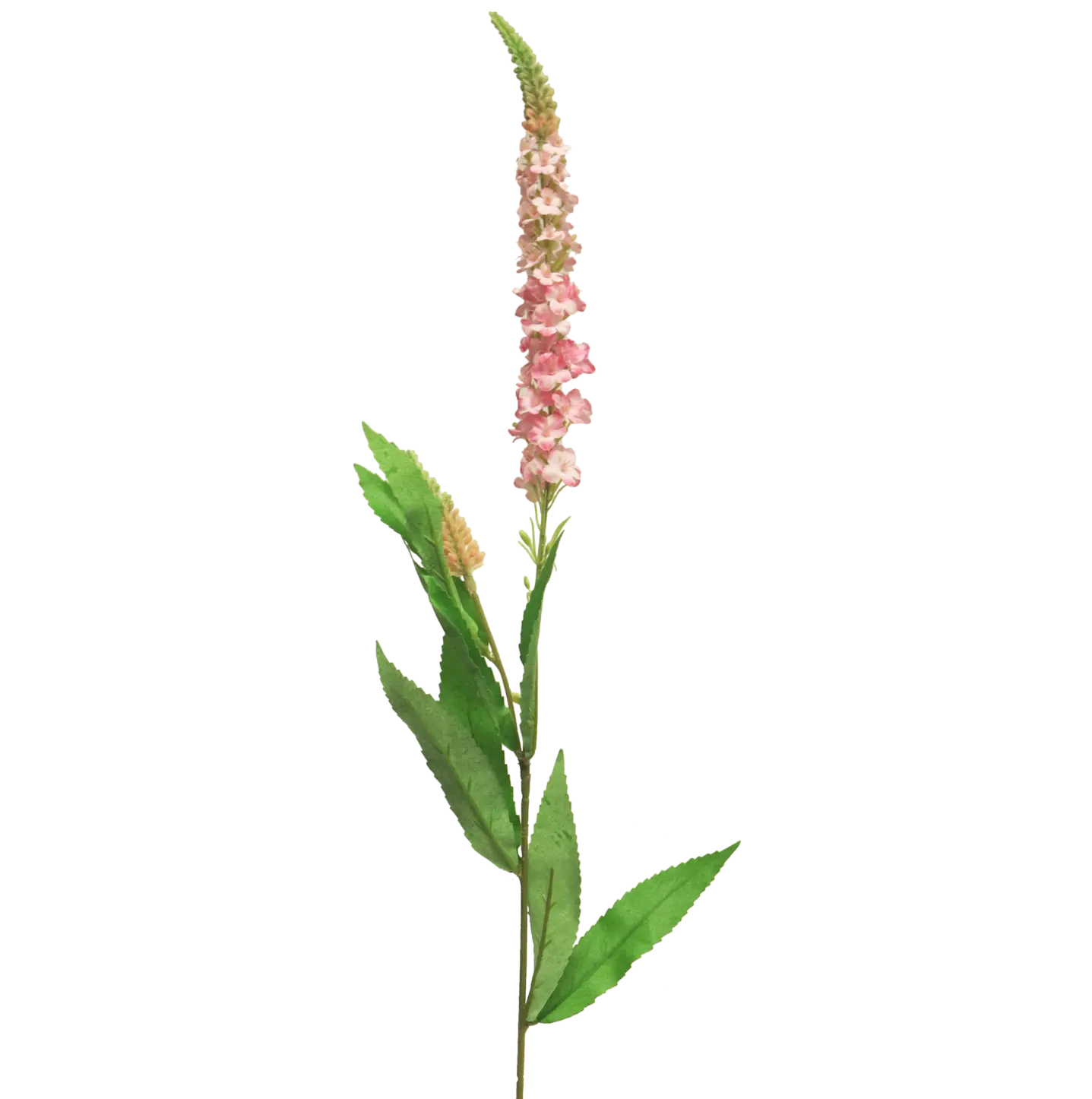 Kunst Veronica Roze 75cm