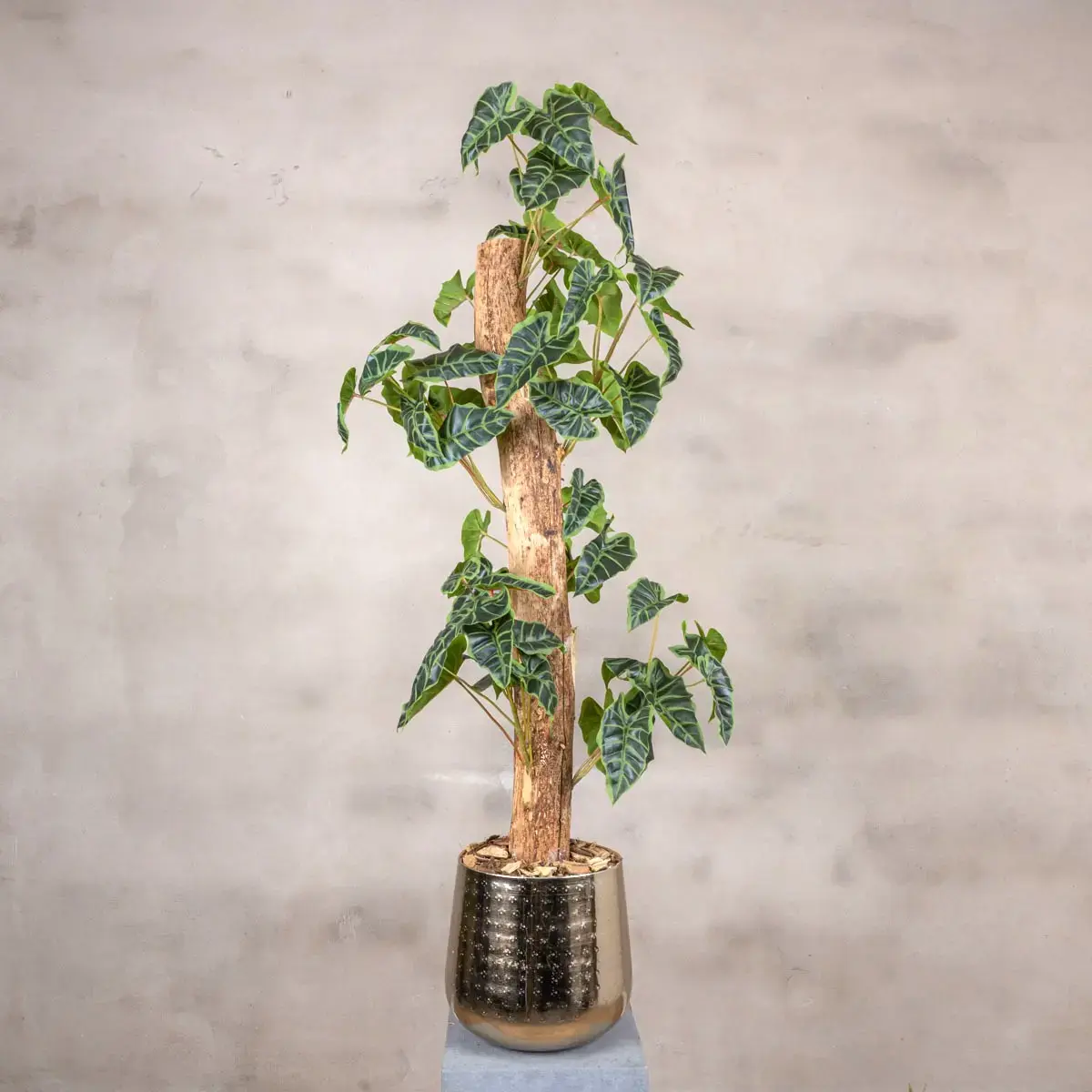 Kunstplant Alocasia 100 cm (1)