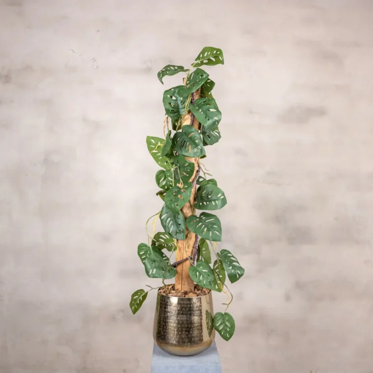 Kunstplant Monstera 100 cm