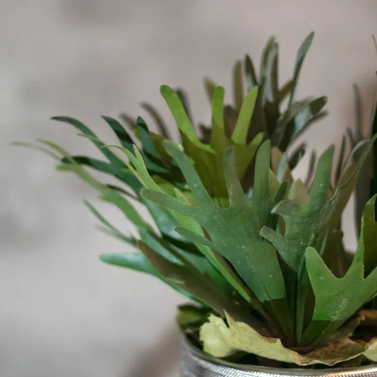 Kunstplant hertshoorn (2)