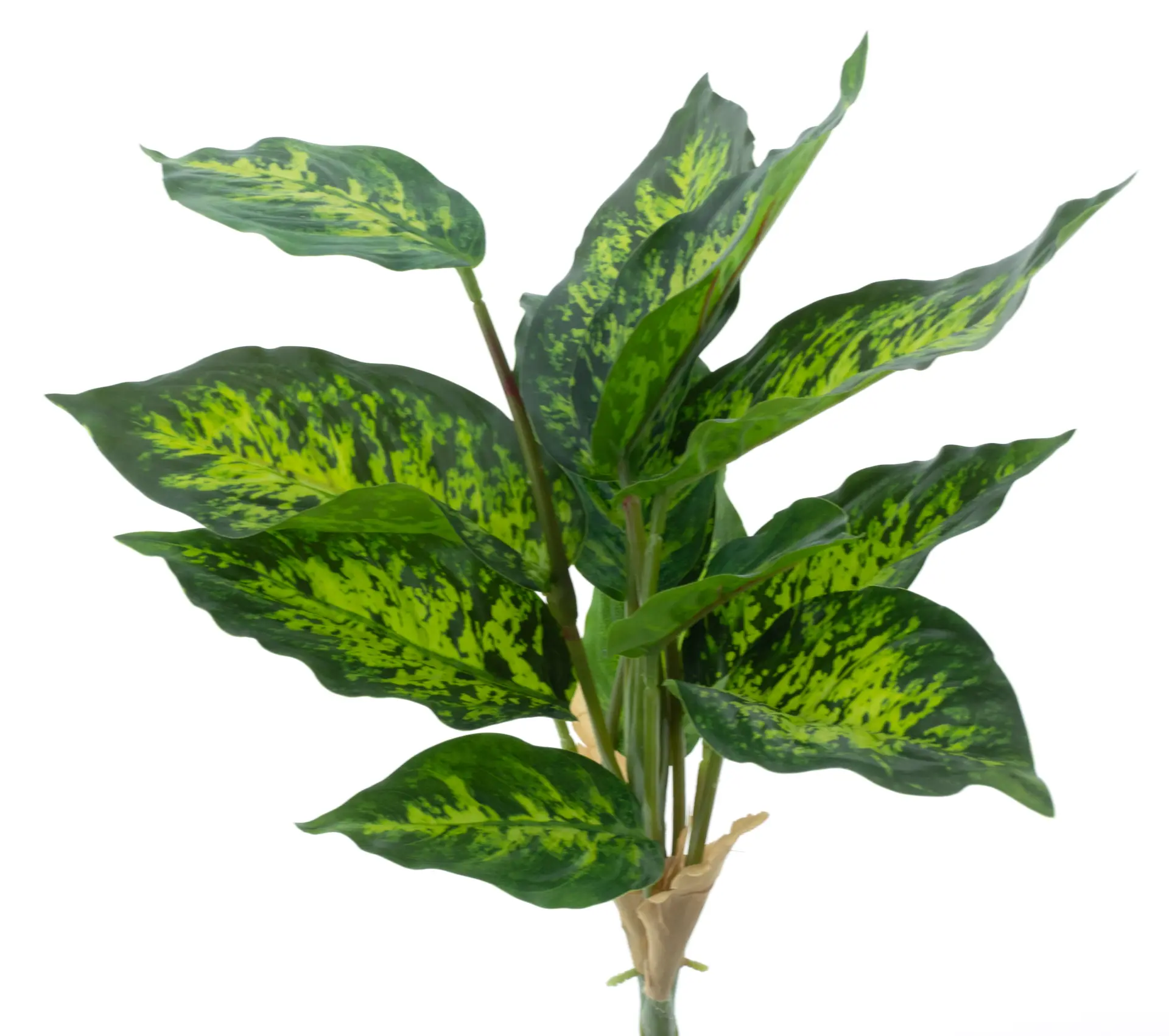 Kunsttak Dieffenbachia Groen 40cm