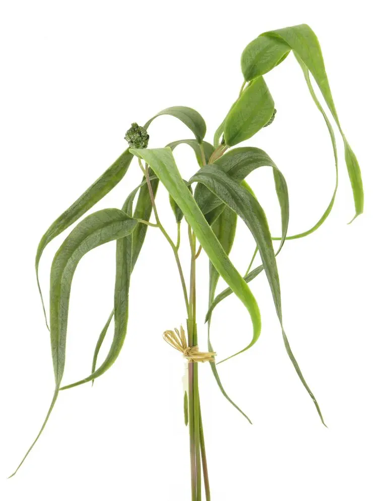 Kunsttak treurwilgblad 60cm