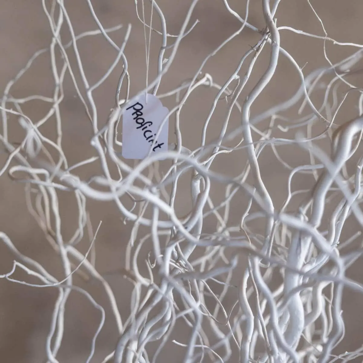 Luxe wensboom Wit 150cm (3)