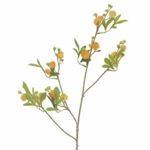 Mimosa Oranje 100cm