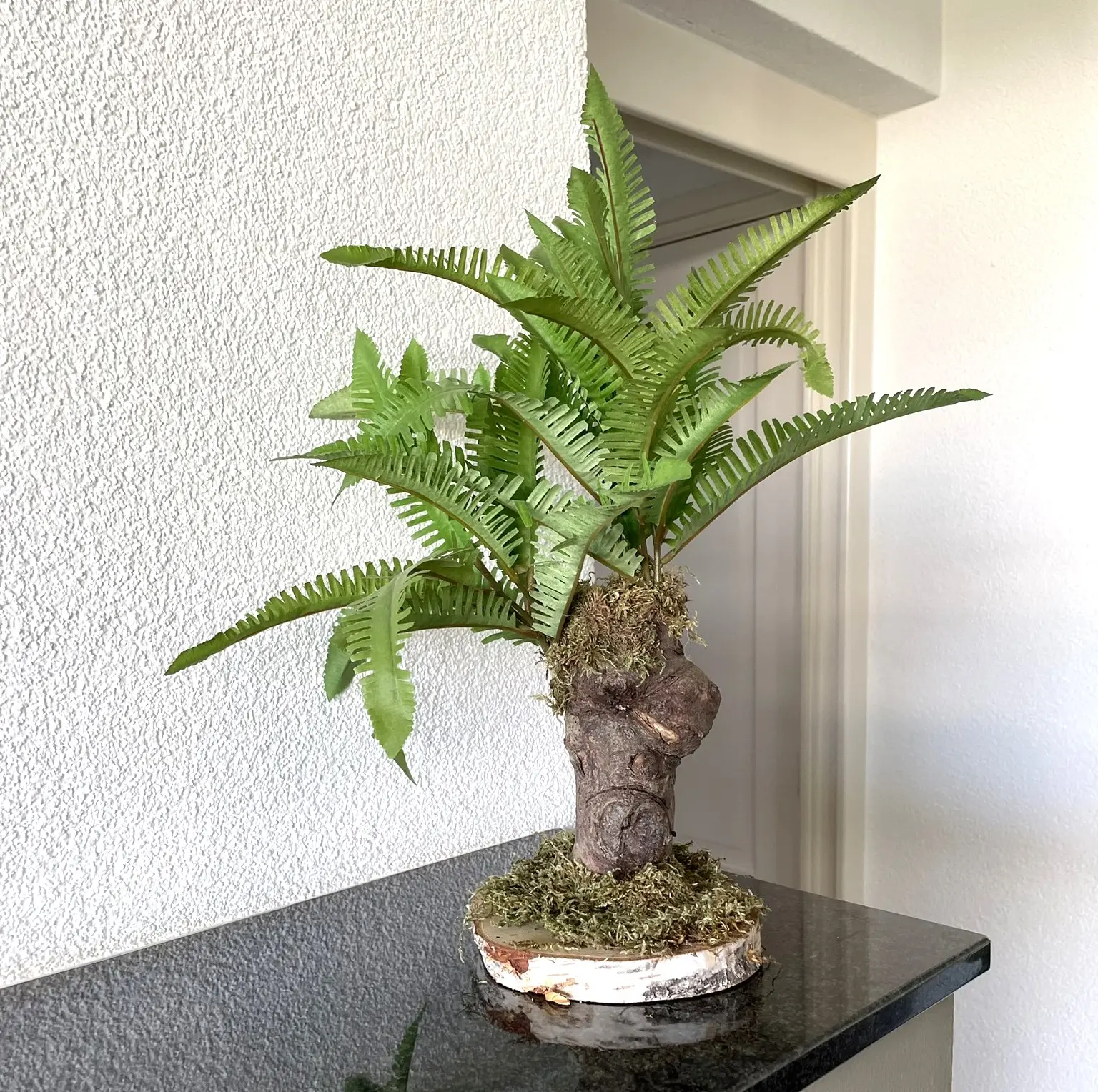 Mini Varenboompje grof (1)