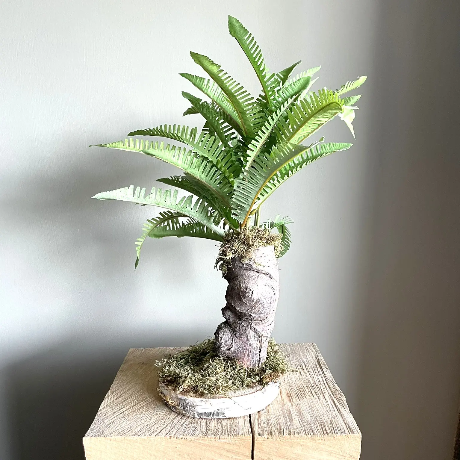 Mini Varenboompje grof (2)