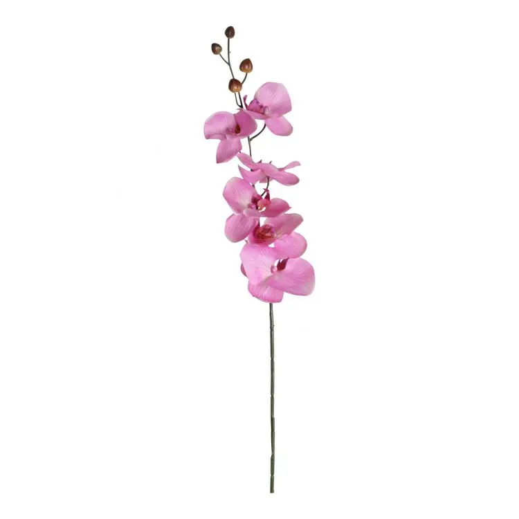 Orchidee Roze 75cm