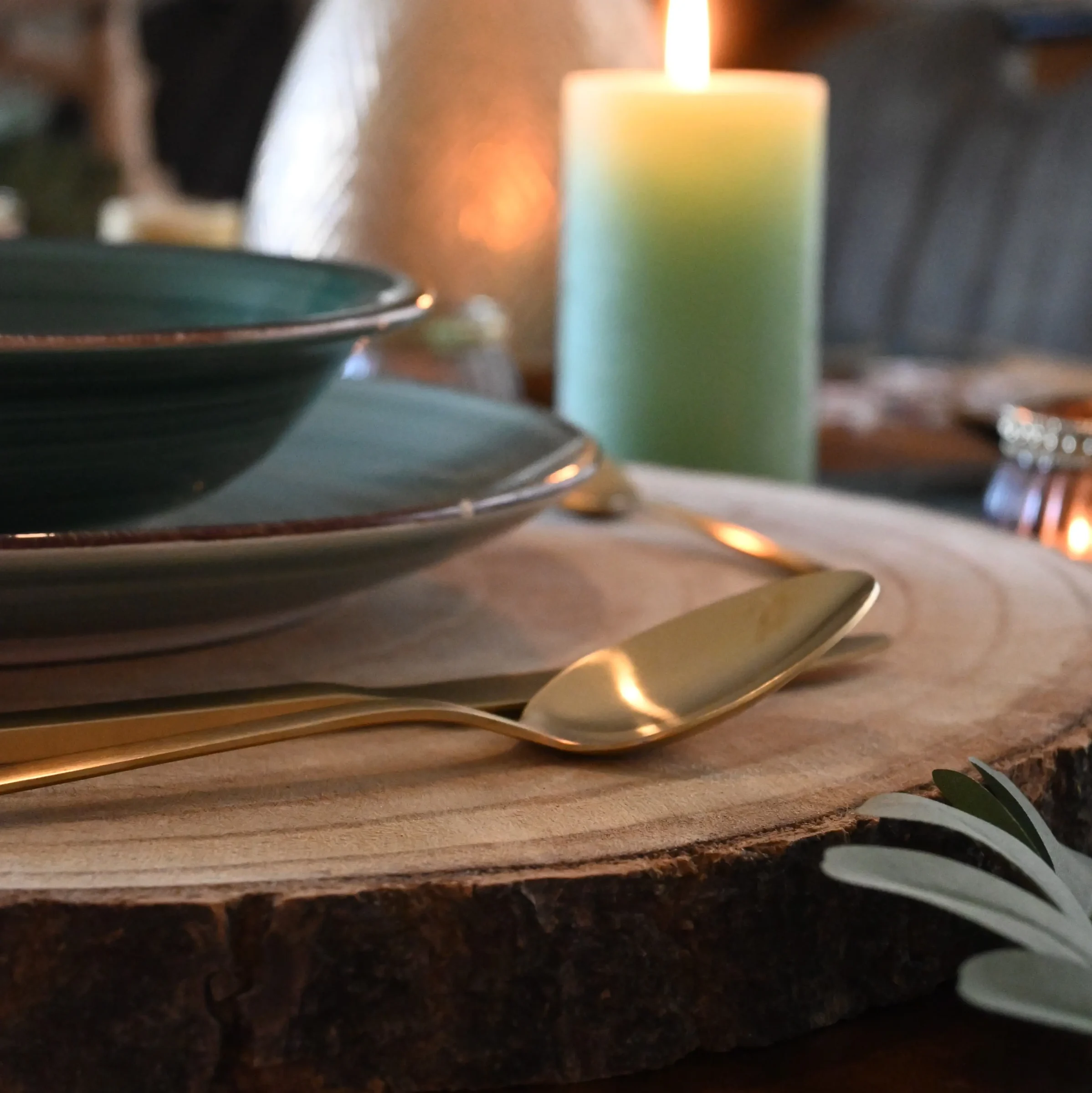 Paulowniaschijf (15)