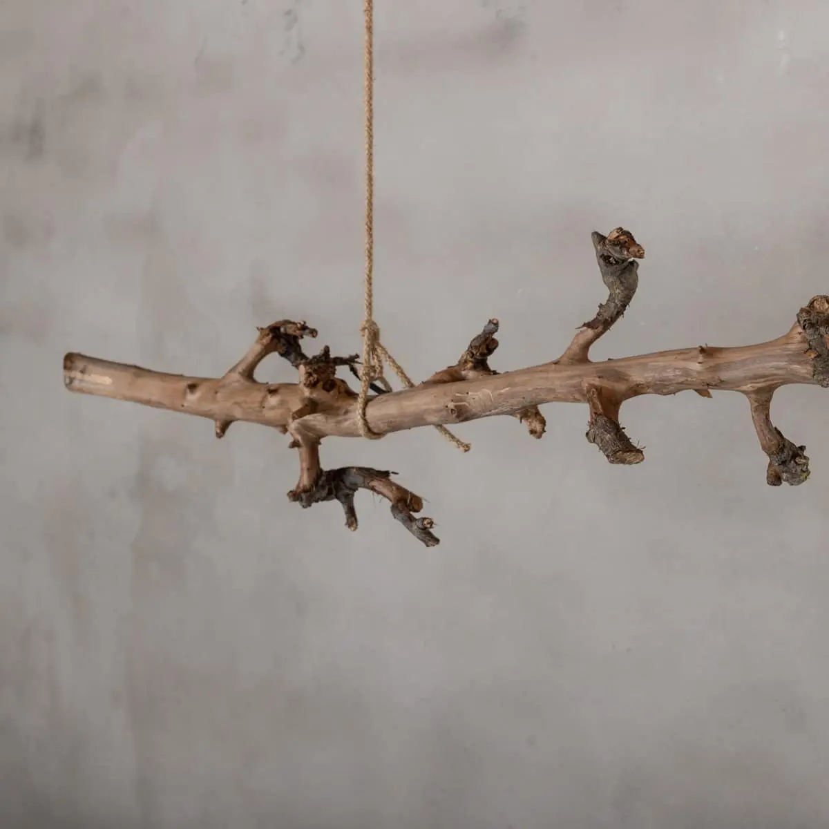 Perentak hanger Gezandstraald 80cm (2)