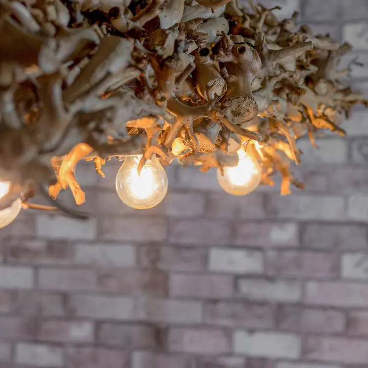 Perentakken hanglamp Met ketting B150cm (3)