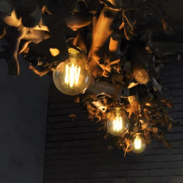 Perentakken hanglamp Met ketting B150cm (4)