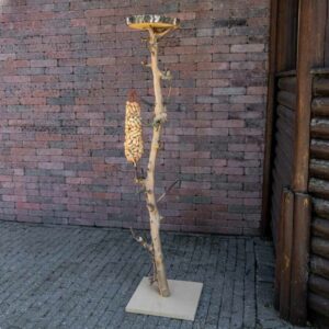 Schermafbeelding 2023-01-05 123738