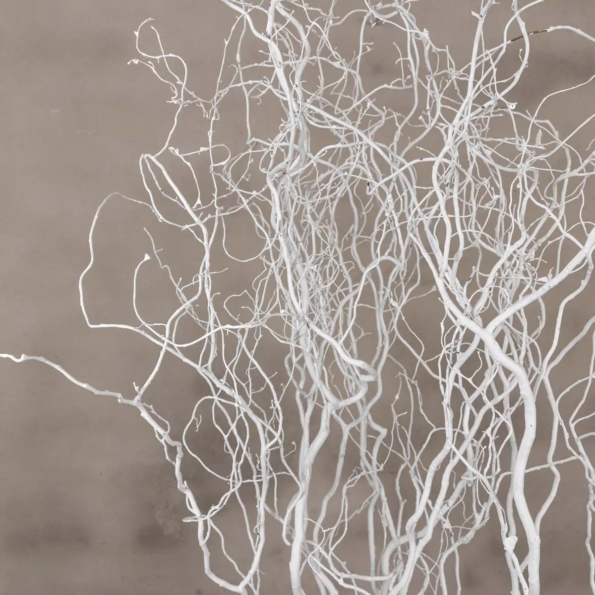 Set Fijne Kronkelwilg takken met pot Wit 120cm (2)