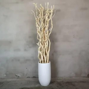 Set Robuuste Kronkelwilgtakken met pot Gezandstraald 160cm (2)