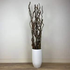 Set Robuuste Kronkelwilgtakken zonder pot 160cm (1)