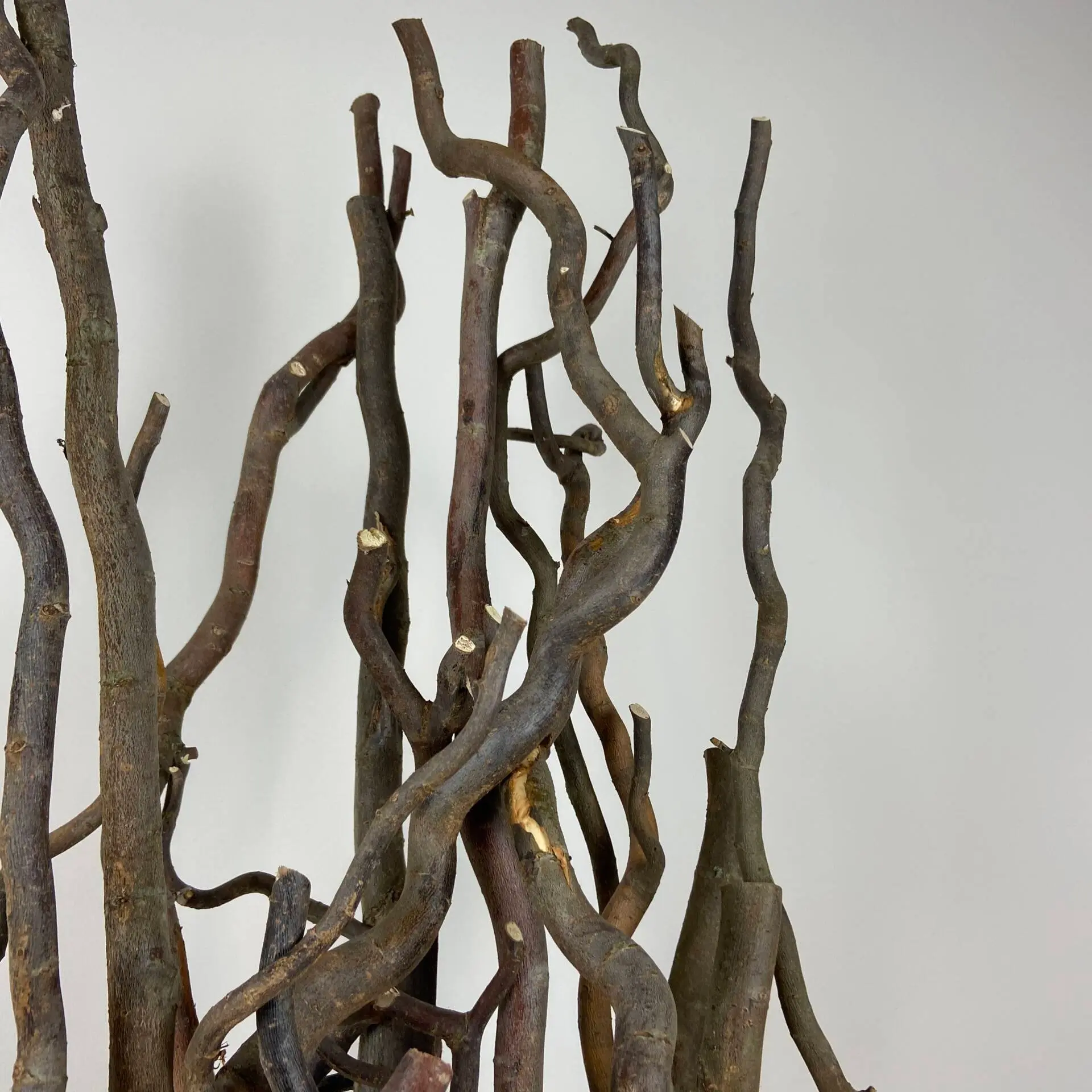 Set Robuuste Kronkelwilgtakken zonder pot 160cm (2)