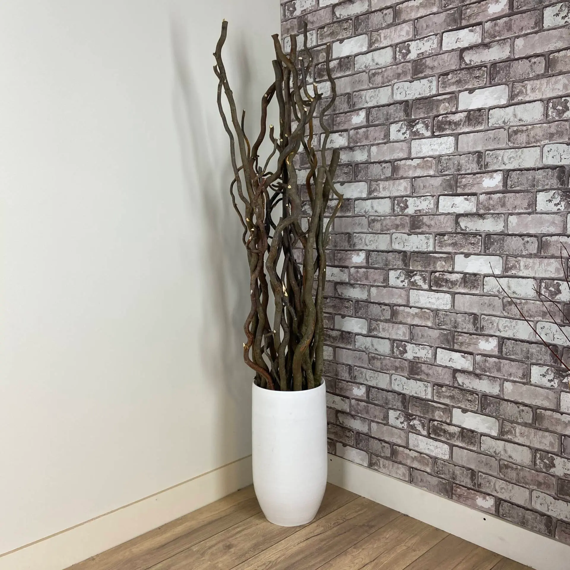 Set Robuuste Kronkelwilgtakken zonder pot 160cm (3)