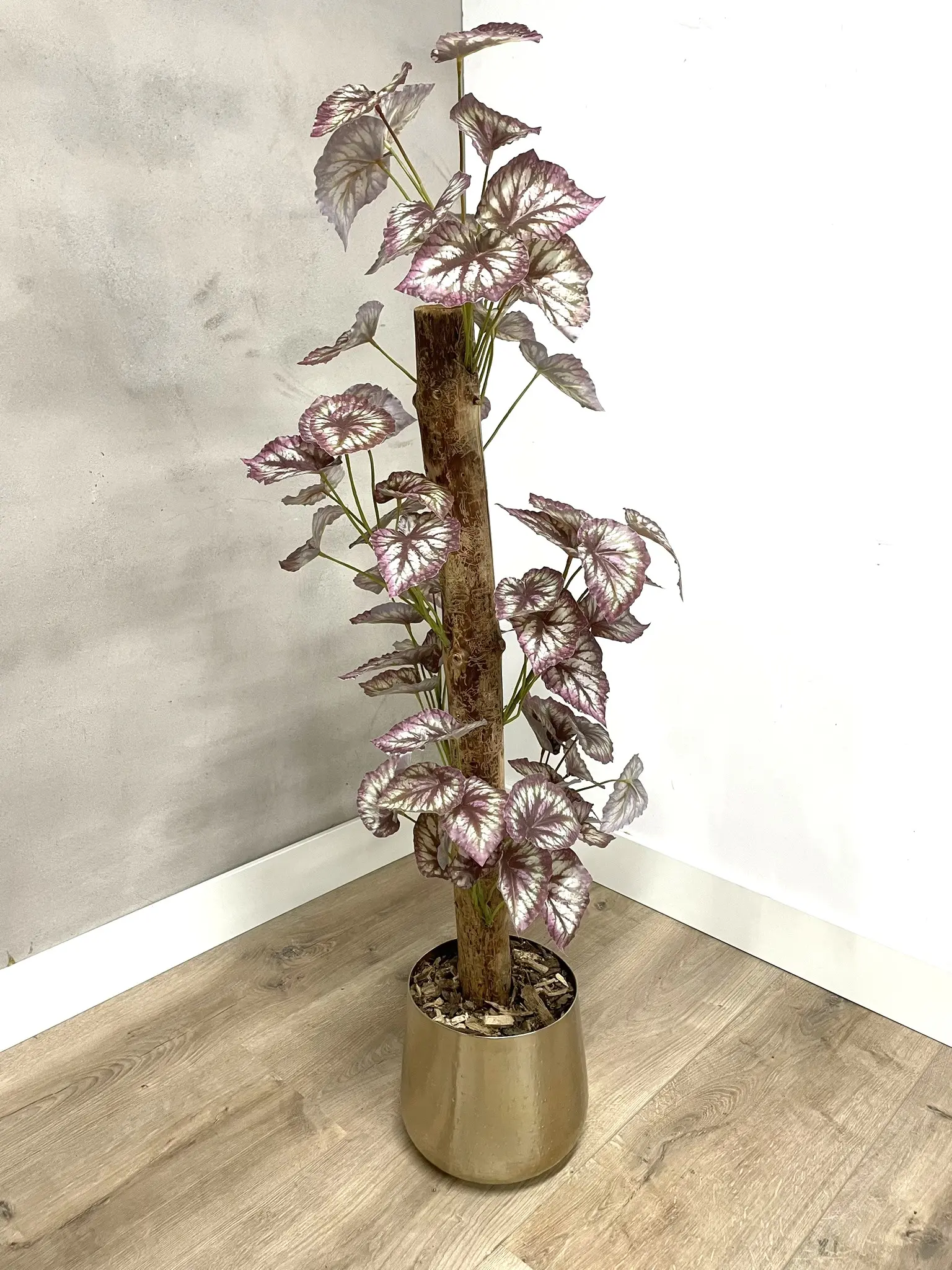 Sfeerfoto kunstplant Alocasia