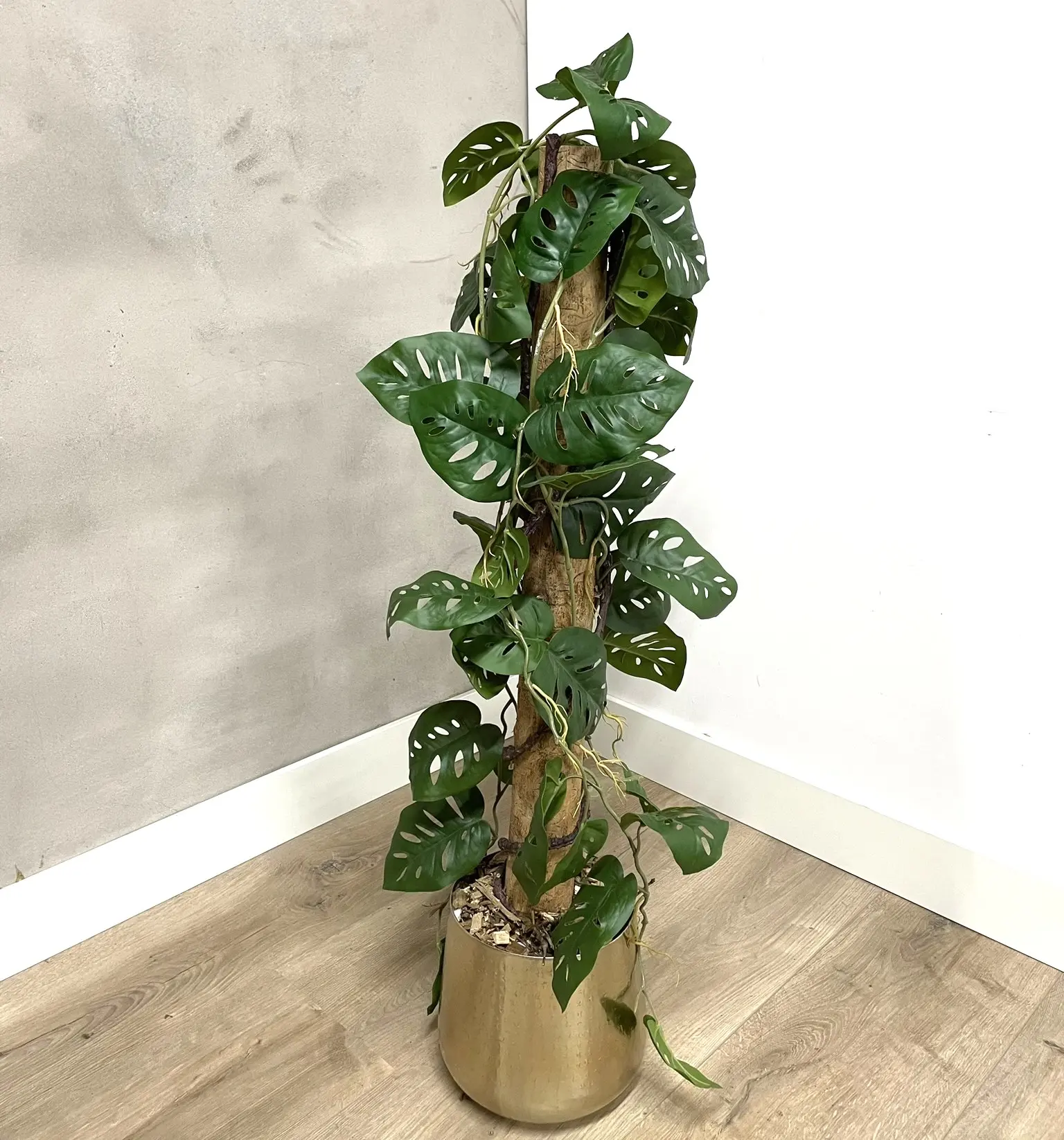 Sfeerfoto kunstplant Monstera (3)