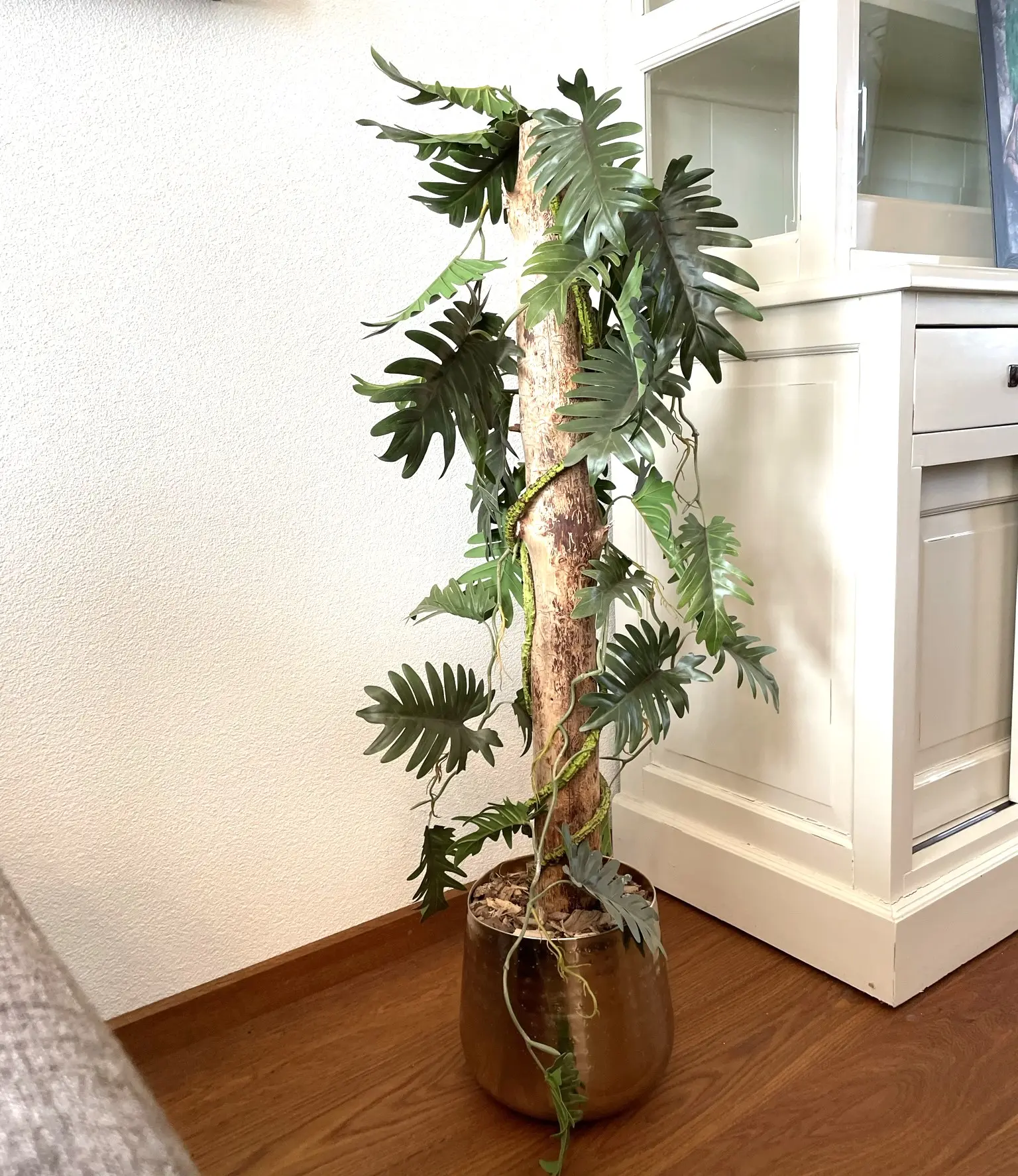 Sfeerfoto kunstplant Philodendron (2)