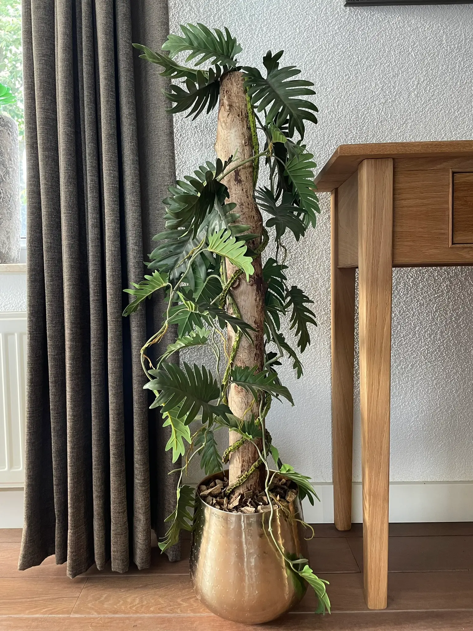 Sfeerfoto kunstplant Philodendron (3)