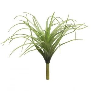Tillandsia Groen 25cm