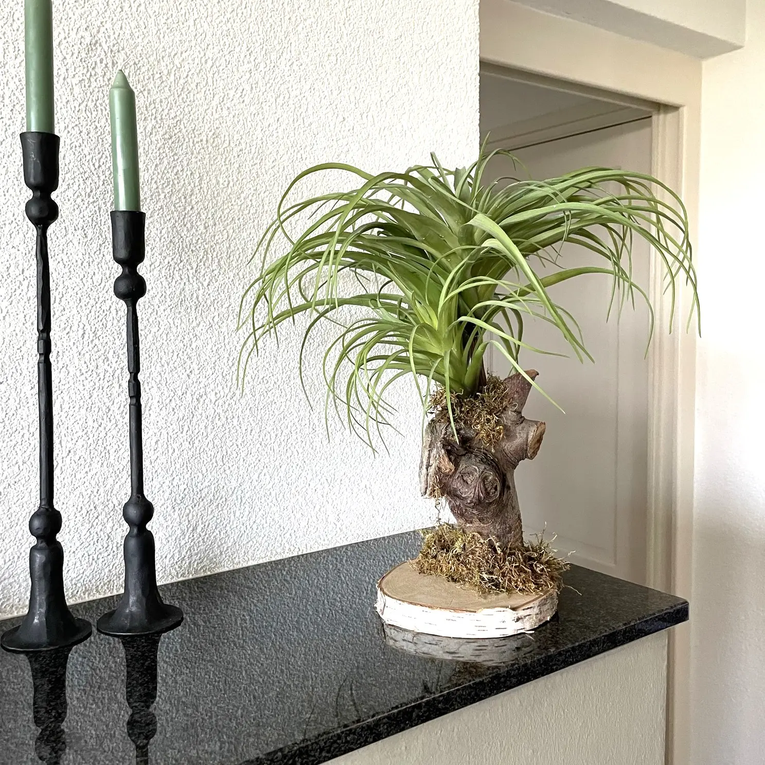 Tillandsiaboompje (3)