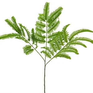 Varenblad groot Groen 90cm