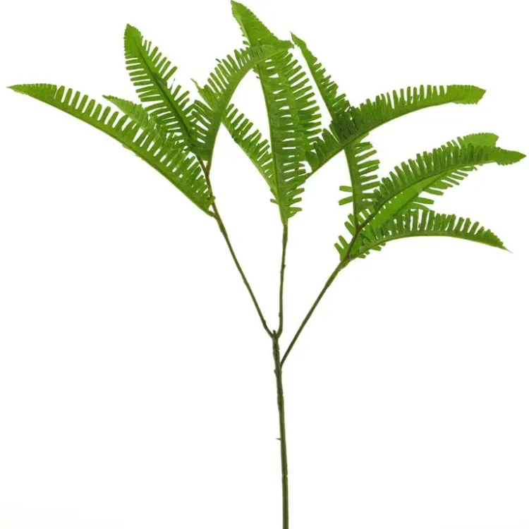 Varenblad klein Groen 40cm