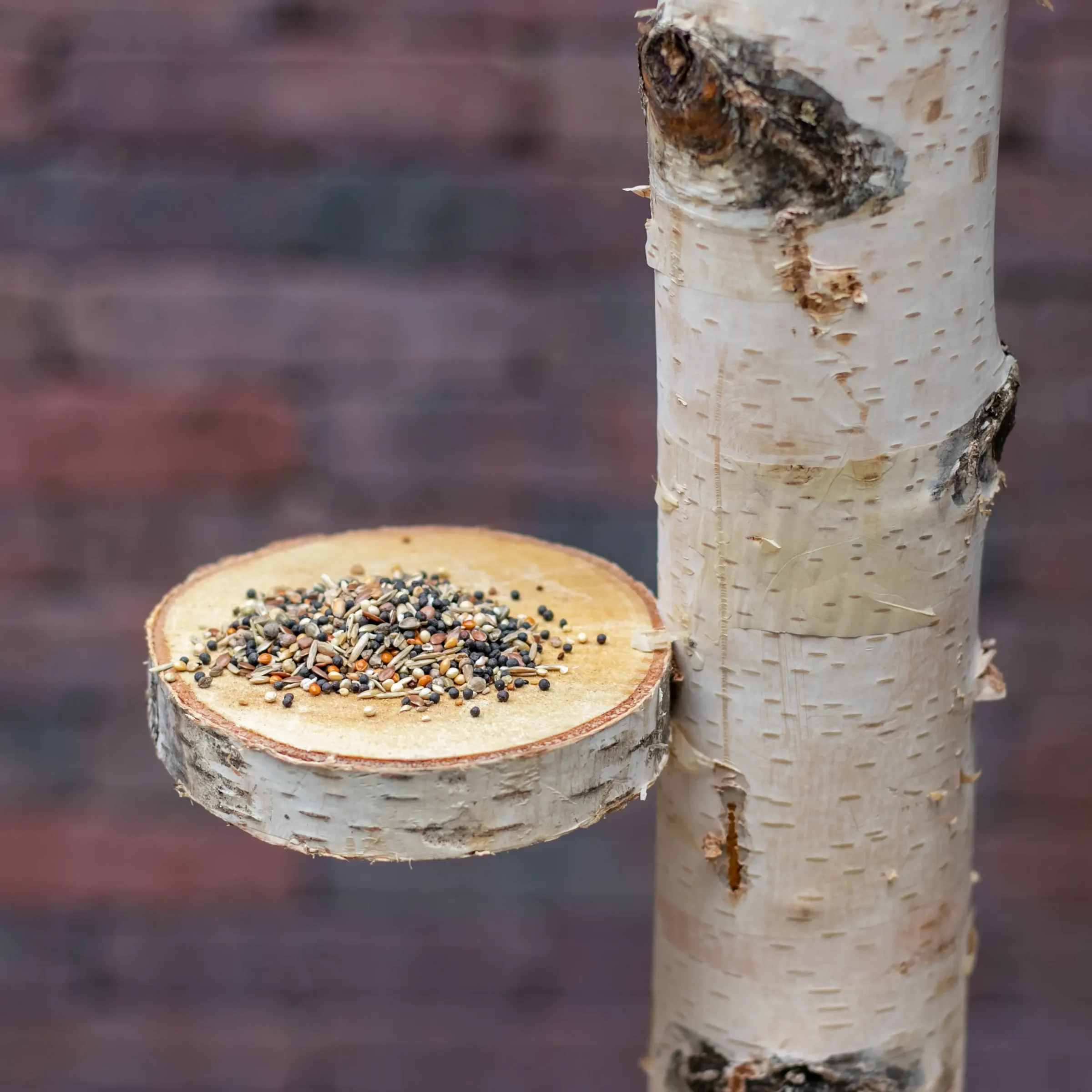 Vogelboom Charlie met voederplateau 100cm (3)