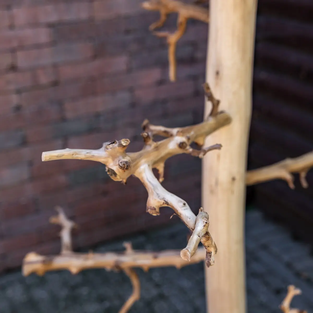 Vogelboom Chica met voederplateau 120cm (2)