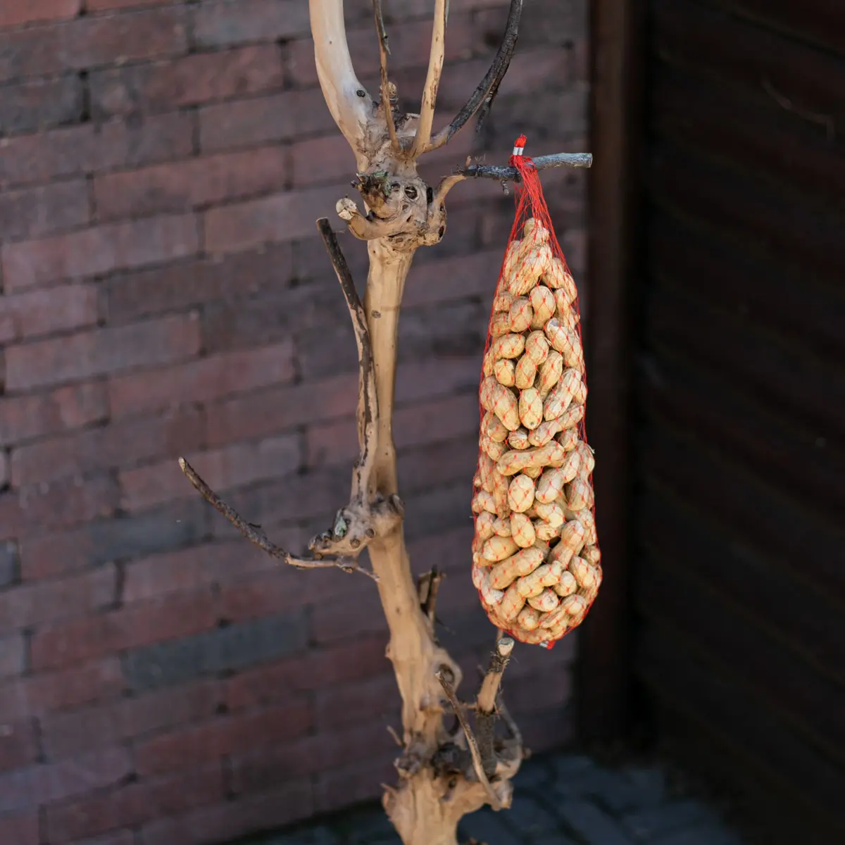 Vogelboom Luna 150cm (3)