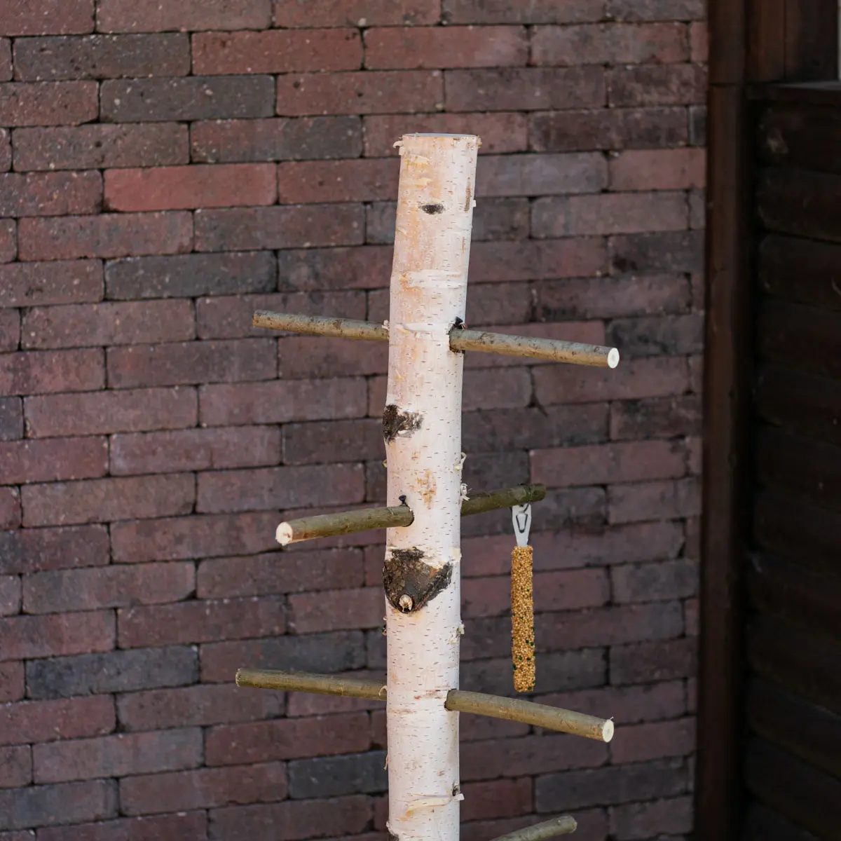 Vogelboom Zazou 100cm (2)