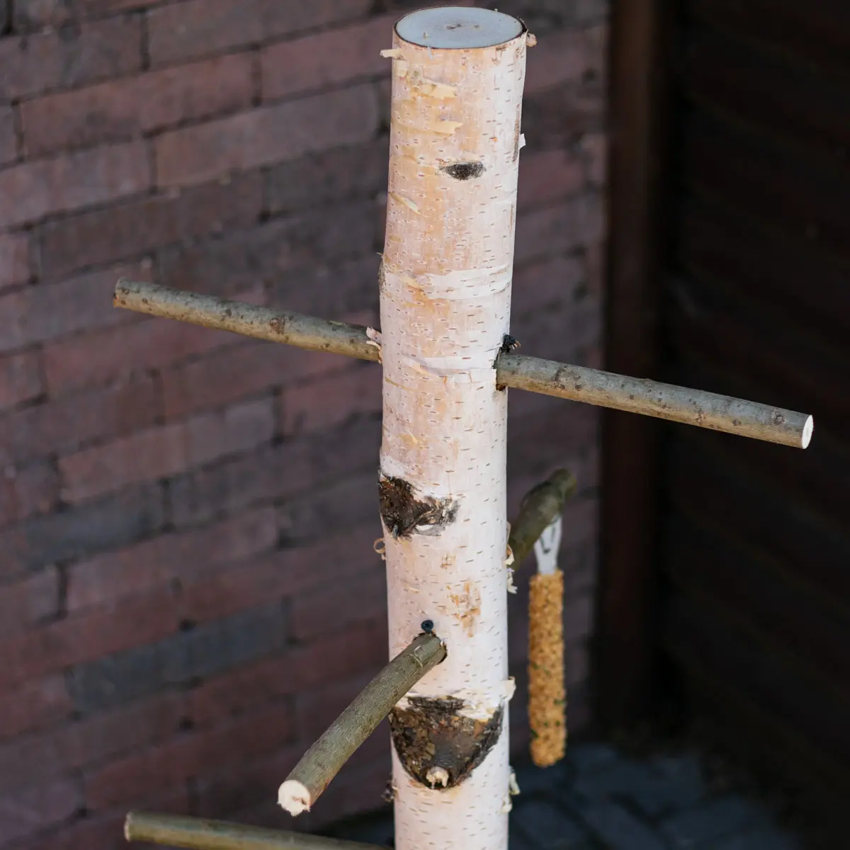 Vogelboom Zazou 100cm (3)