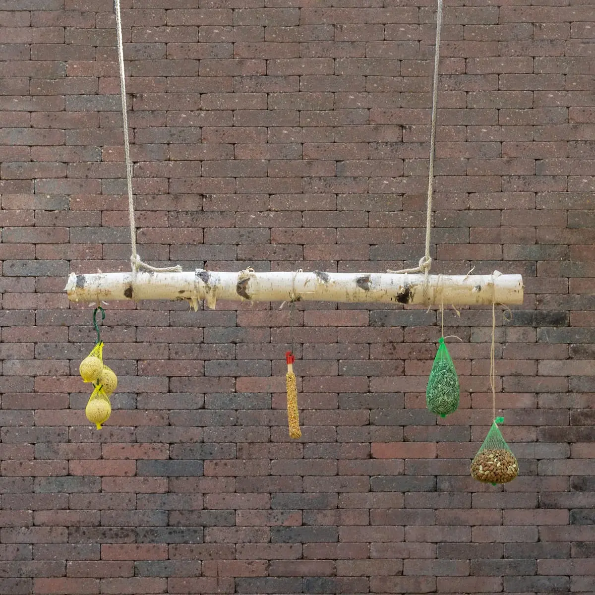 Volière tak Berk 100cm (1)