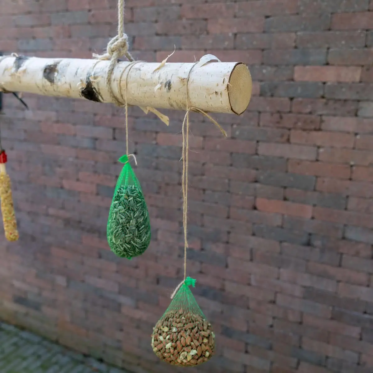 Volière tak Berk 100cm (3)