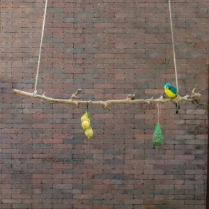 Volière tak Gezandstraald 120cm (1)