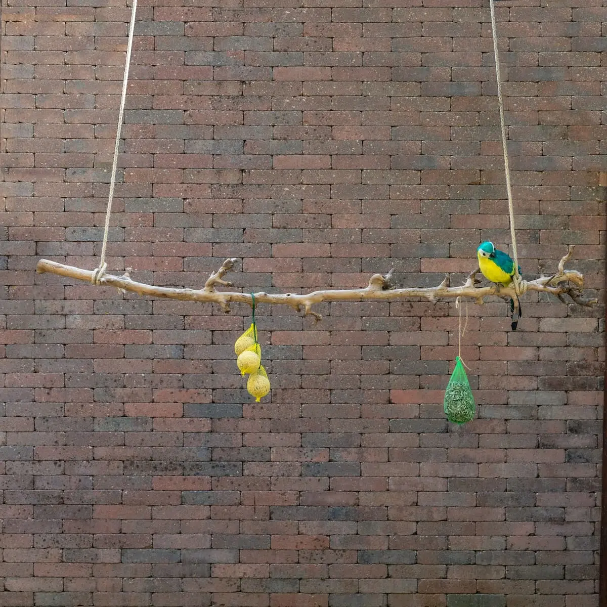 Volière tak Gezandstraald 120cm (1)