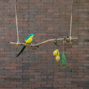 Volière tak Gezandstraald 80cm (1)