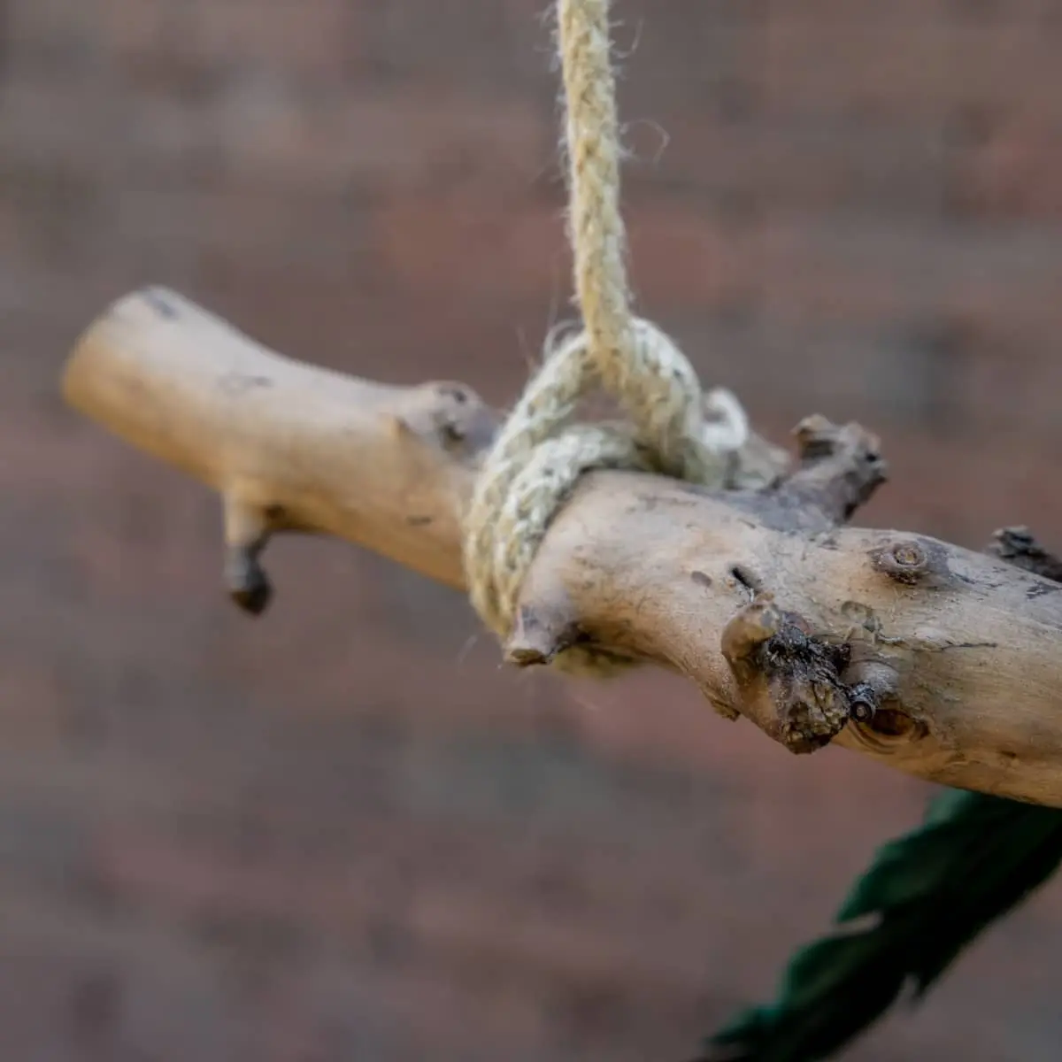 Volière tak Gezandstraald 80cm (2)