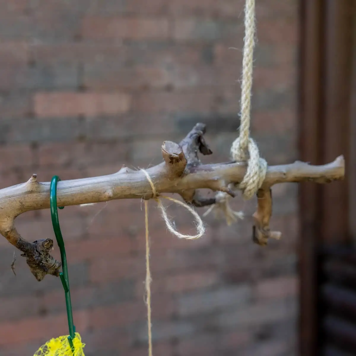 Volière tak Gezandstraald 80cm (3)