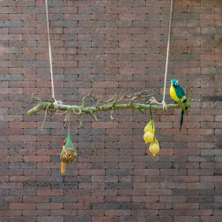 Volière tak Naturel 80cm (1)