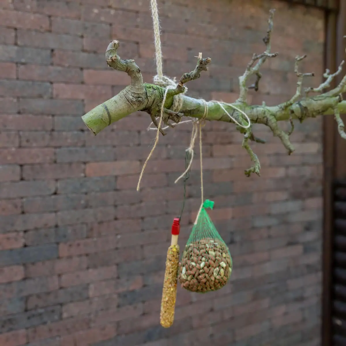 Volière tak Naturel 80cm (3)