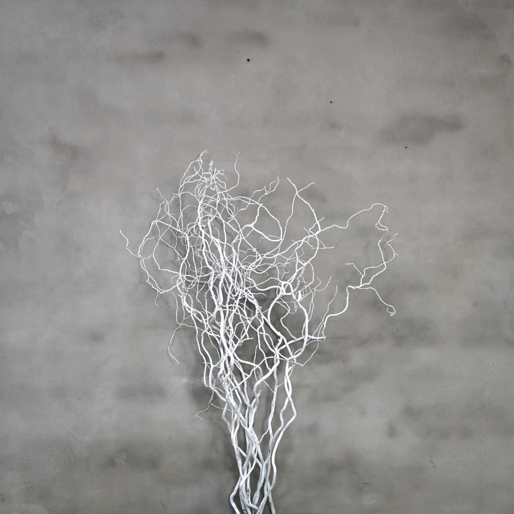 Wilgentak wit 120 cm