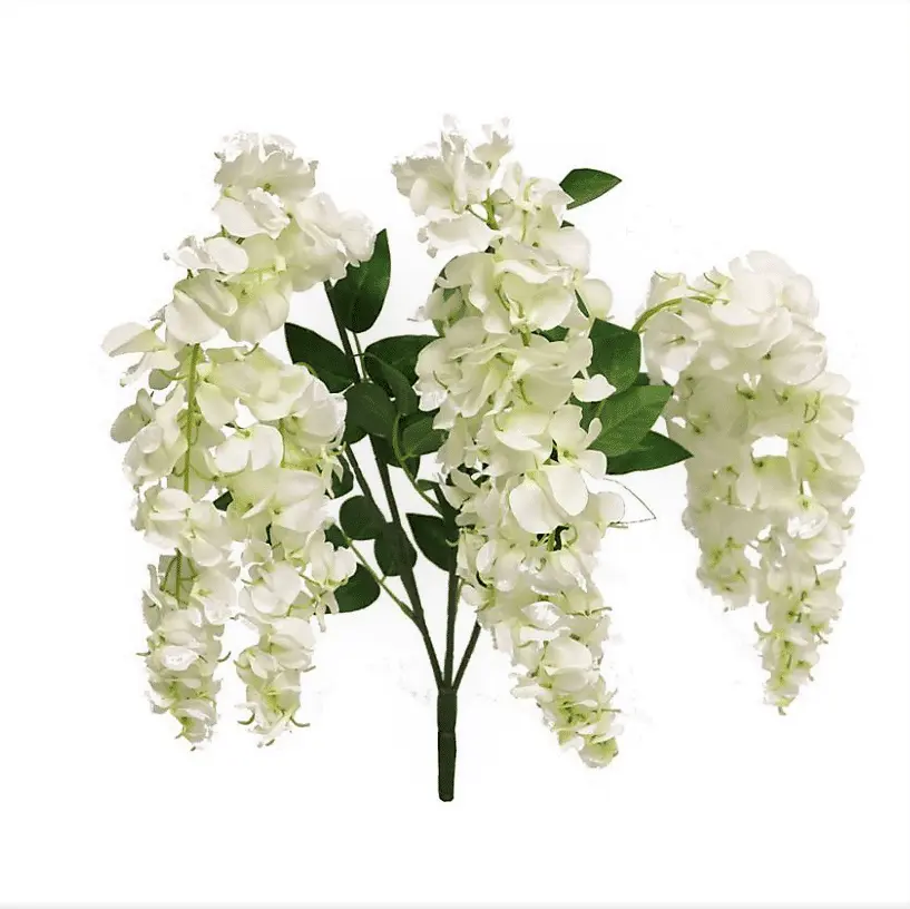 Wisteria Tros Wit 75cm