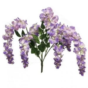 Wisteria tros Paars 75cm