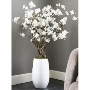 Witte fruitbloesemboom Elody zonder pot 140cm (2)