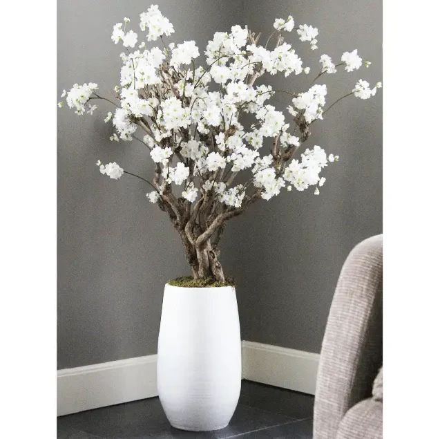 Witte fruitbloesemboom Elody zonder pot 140cm (2)