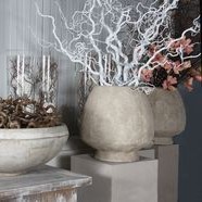 Witte hazelaar takken in pot