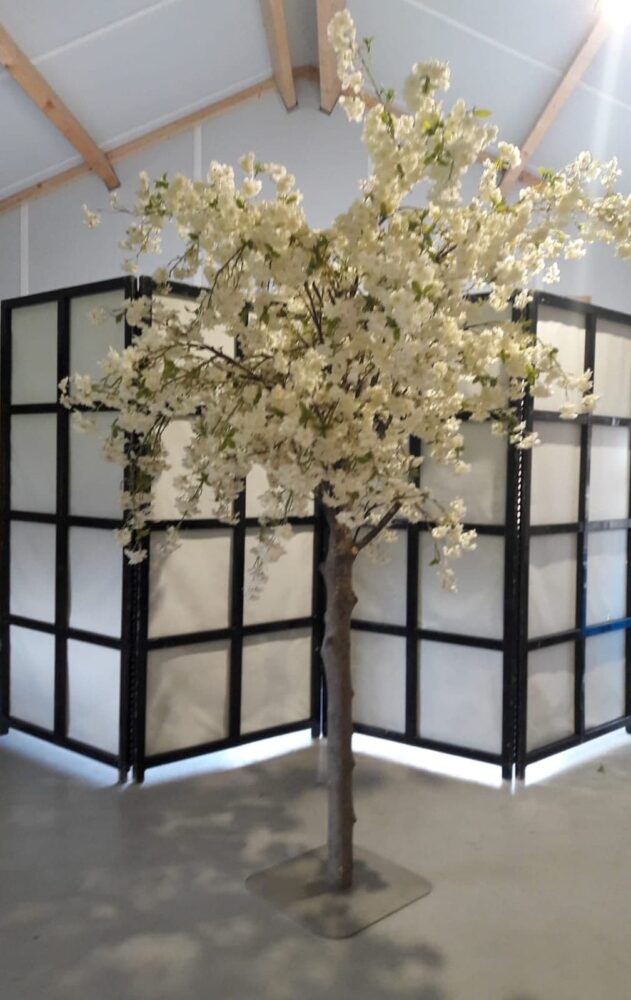 bloesem boom feest mam 90 jaar